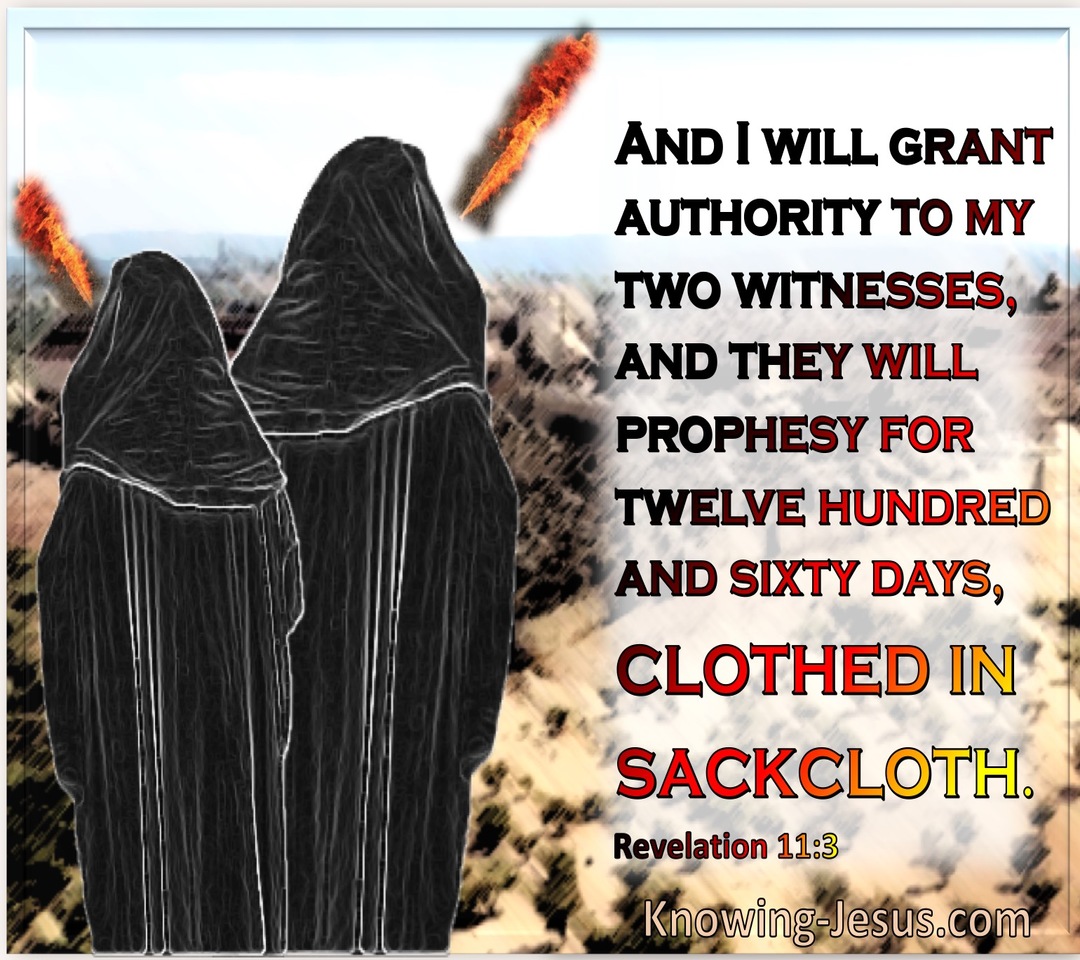 Revelation 11:3 My Two Witnesses Will Prophesy For 1260 Days Wearing Sackcloth (blue)